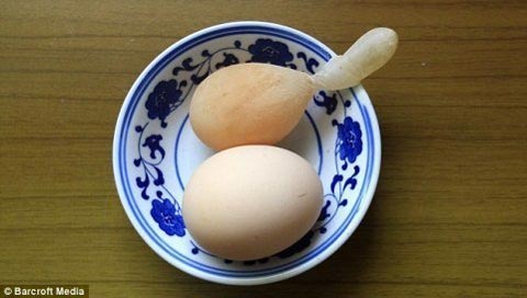 Trung Quốc: Kỳ lạ trứng gà có… đuôi - 1