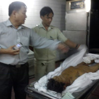 Tin tức trong ngày - “Thế giới ngầm” trong nhà xác