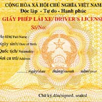 Ô tô - Xe máy - Áp dụng giấy phép lái xe mẫu mới từ 1/7