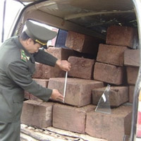 Tin tức trong ngày - Bắt 2 vụ vận chuyển gần 1,4 tấn gỗ sưa
