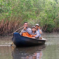 Du lịch - Nghỉ mát ở rừng Tràm: Muôn điều thú vị