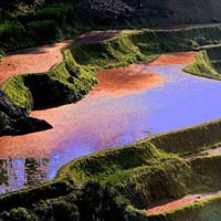 Du lịch - Vẻ đẹp mê hồn của ruộng bậc thang