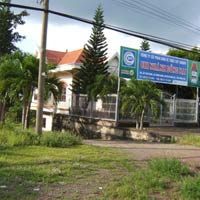 Thị trường - Tiêu dùng - Doanh nghiệp vỡ nợ, nông dân trắng tay