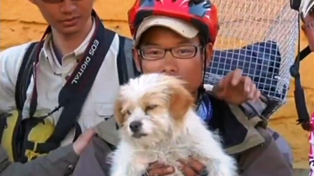 Chú chó chạy bộ xuyên Trung Quốc - 3