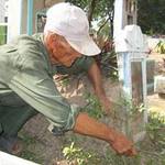 Tin tức trong ngày - Mưu sinh trên &quot;lãnh địa người chết&quot;