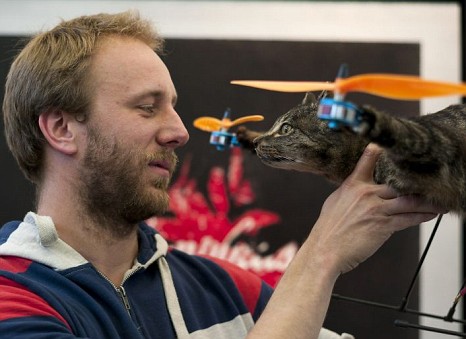 Chiếc trực thăng làm từ xác mèo - 3