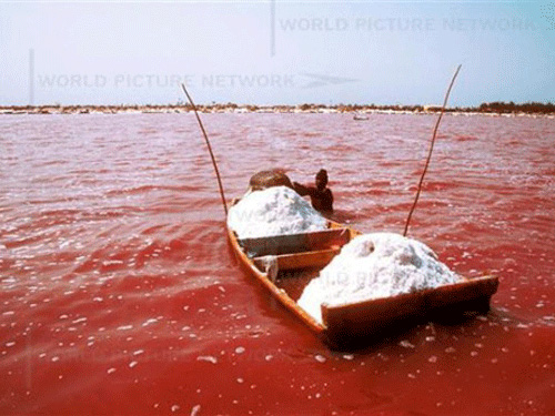 Hồ nước đỏ như máu ở châu Phi - 1