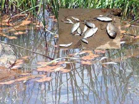 Xác định “thủ phạm” gây ô nhiễm - 2