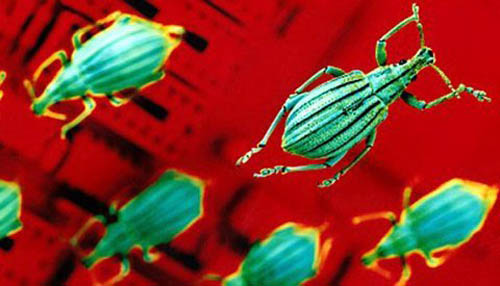 Siêu virus Flame có thể "đột nhập" qua Windows - 1