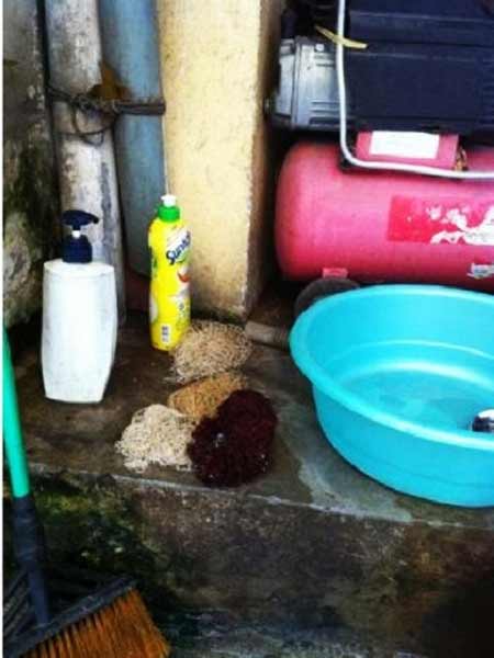 Vụ "cơm bẩn": Đá trách nhiệm sang Bộ Y tế - 2