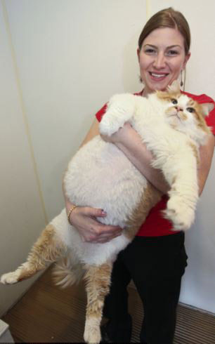 Chú lừa với bộ lông như tấm thảm - 6