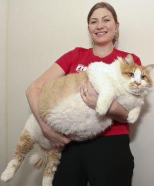 Chú lừa với bộ lông như tấm thảm - 9