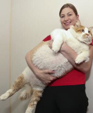 Chú lừa với bộ lông như tấm thảm - 10