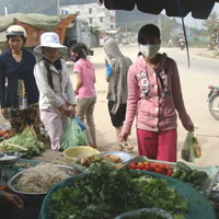 Tin Đà Nẵng - Nhập cư: Giải pháp nào phù hợp?