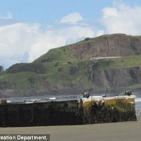 Tin tức trong ngày - Bến tàu Nhật lạc tới Mỹ sau 15 tháng trôi dạt