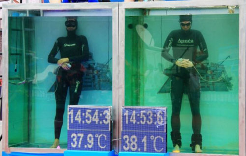 Nhịn thở dưới nước hơn 22 phút - 3