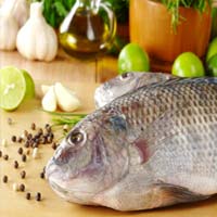 Ẩm thực - Mẹo hay chế biến cá