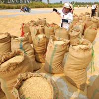 Thị trường - Tiêu dùng - Chính sách mua gạo “khó hiểu” của TQ