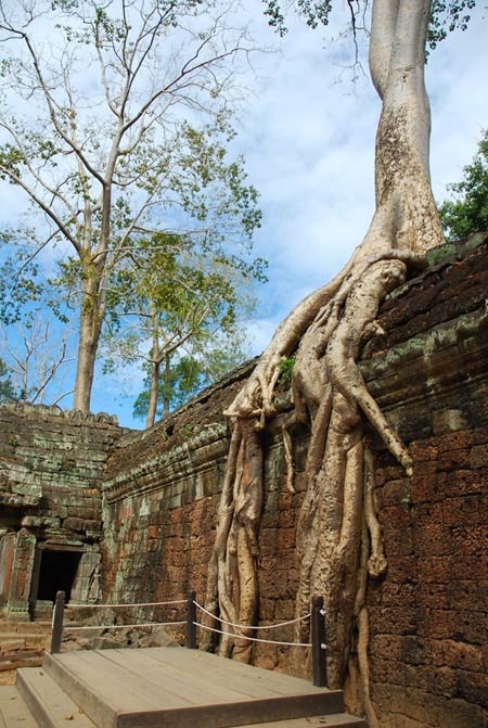 Huyền bí kỳ quan Angkor - 13