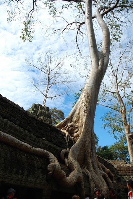 Huyền bí kỳ quan Angkor - 14