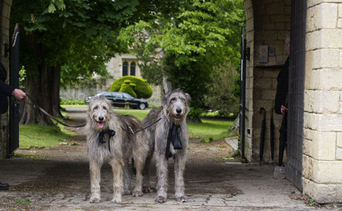 Đám tang xúc động của danh ca nhóm Bee Gee - 15