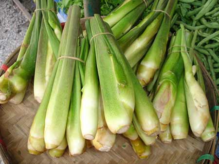 8 loại rau ngăn ngừa 8 loại ung thư - 2