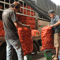 Tin tức trong ngày - Cước vận tải: Lên rồi, xuống không được