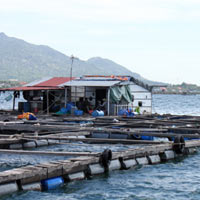 Thị trường - Tiêu dùng - Phạt chủ bè TQ ở vịnh Cam Ranh 4 triệu đồng