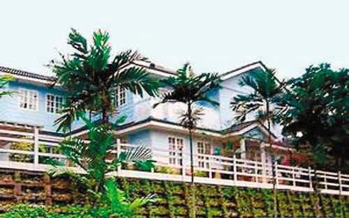 Lưu Đức Hoa khoe ảnh nắm tay con gái - 5