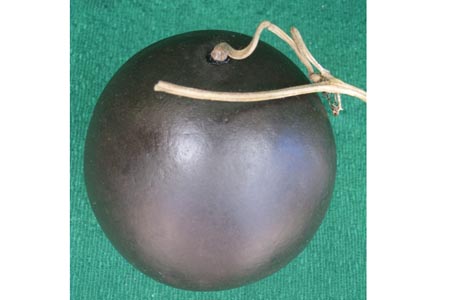 Bộ sưu tập thạch quả và sinh vật lạ - 2