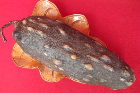 Bộ sưu tập thạch quả và sinh vật lạ - 3