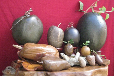 Bộ sưu tập thạch quả và sinh vật lạ - 4