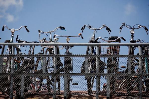 Lạ lùng thành phố toàn xe đạp - 12