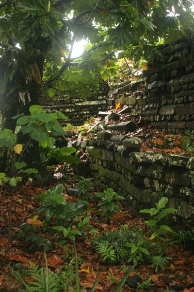 Bí ẩn đằng sau thành phố đá cổ Nan Madol - 12