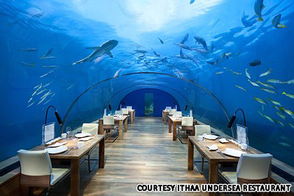 6 điểm đến kỳ thú dưới nước - 8