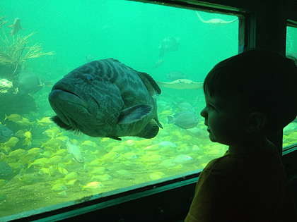 6 điểm đến kỳ thú dưới nước - 3