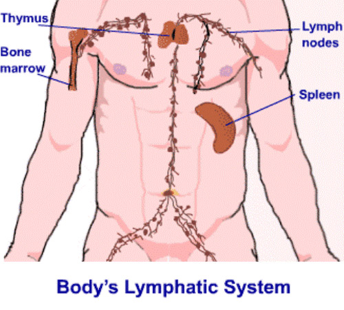 5 loại ung thư nam giới nên quan tâm - 3