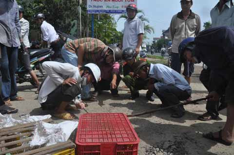 Hoảng loạn vì rắn độc bò khắp xe khách - 5