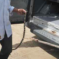 Tin tức trong ngày - Hoảng loạn vì rắn độc bò khắp xe khách