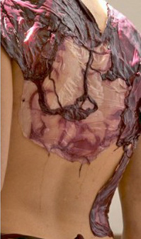 Chiếc váy làm từ… rượu vang - 2