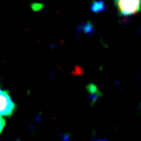 Tin tức trong ngày - Nhật Bản phát hiện thiên hà cổ nhất vũ trụ