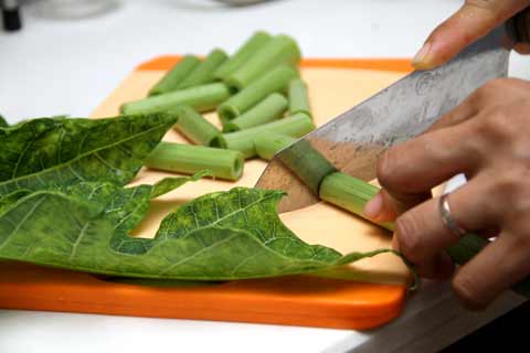 Thực hư lá đu đủ chữa ung thư? - 1