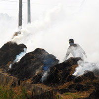 Tin tức trong ngày - Bỏng nặng vì đâm xe vào đống rơm đang cháy