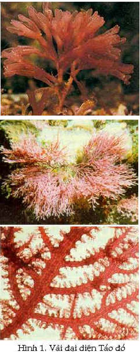 Giải mã cuộc "yêu" 1 giờ của nam giới - 2