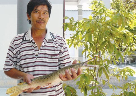 Bắt được cá vảy rắn, đầu cá sấu ở Khánh Hòa - 1