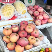 Tin tức trong ngày - Táo độc nhập khẩu: Khó "bắt tận tay"