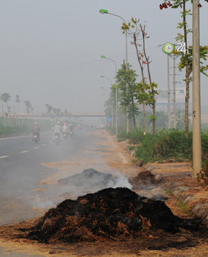 Người Hà Nội ngộp thở vì khói rơm rạ - 3
