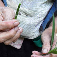 Tin tức trong ngày - Ghê rợn phá thai bằng... nan hoa xe máy