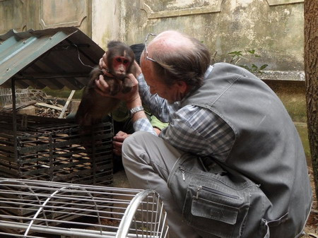 Hãi hùng cảnh người Việt phanh thây khỉ - 11