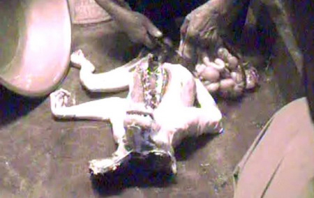 Hãi hùng cảnh người Việt phanh thây khỉ - 2